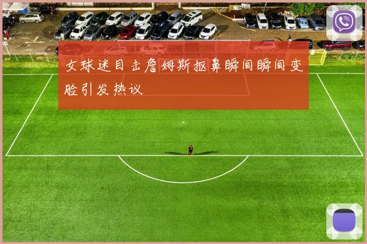 女球迷目击詹姆斯抠鼻瞬间瞬间变脸引发热议