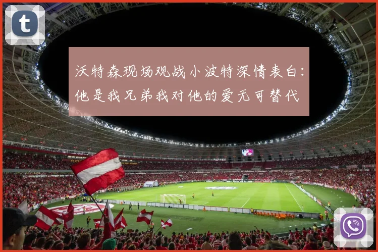 沃特森现场观战小波特深情表白：他是我兄弟我对他的爱无可替代