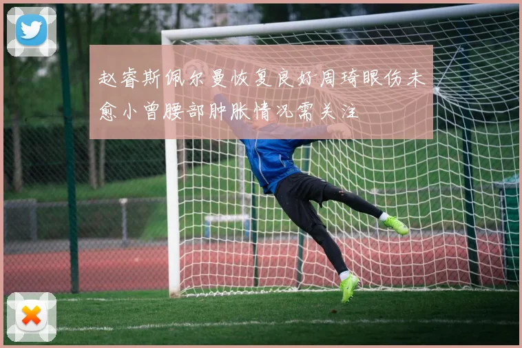赵睿斯佩尔曼恢复良好周琦眼伤未愈小曾腰部肿胀情况需关注