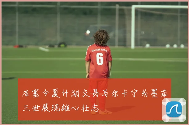 活塞今夏计划交易马尔卡宁或墨菲三世展现雄心壮志